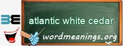 WordMeaning blackboard for atlantic white cedar